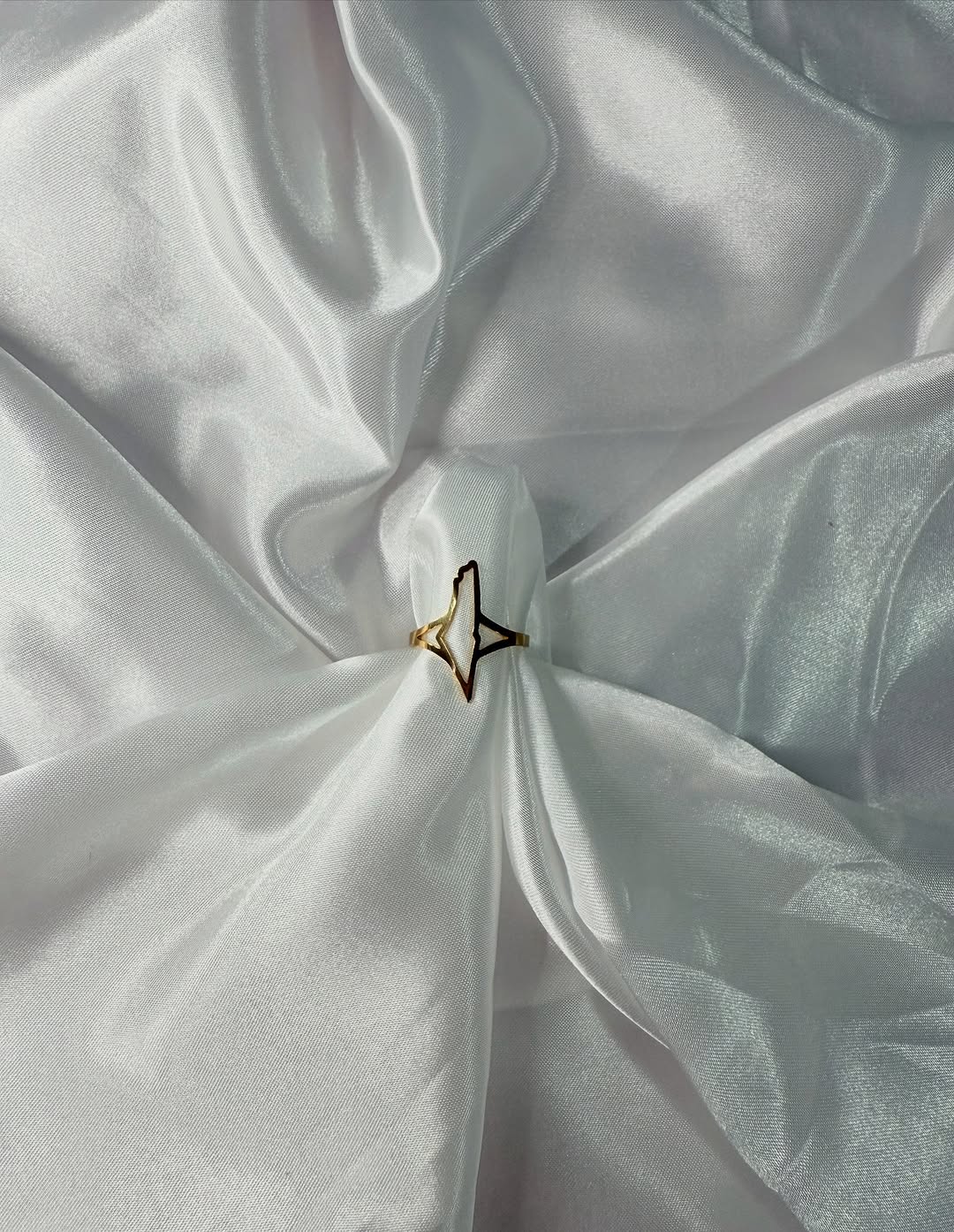 Homeland Outline Ring — Palestine (Gold & Silver)